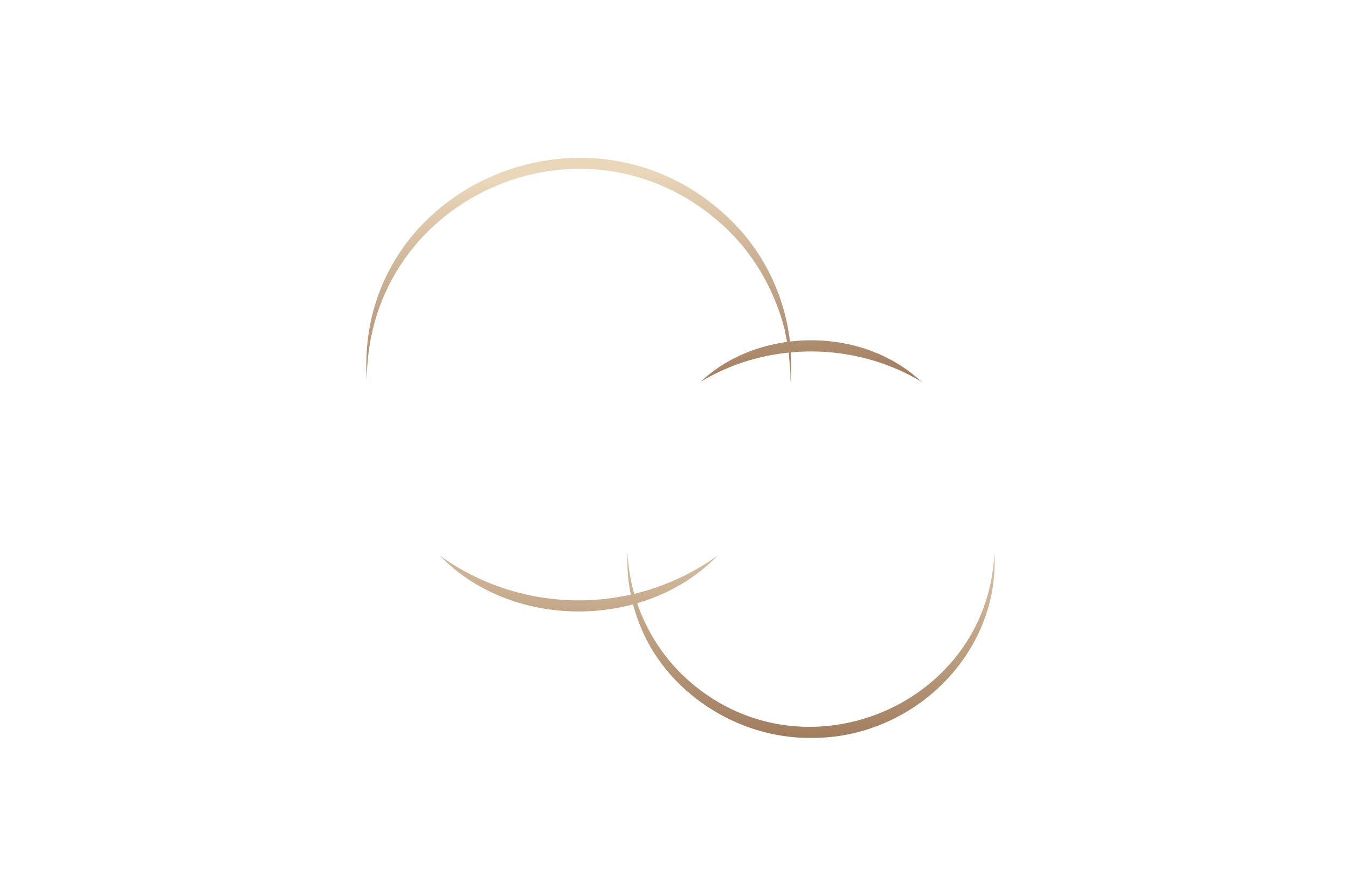 Trust in Motion